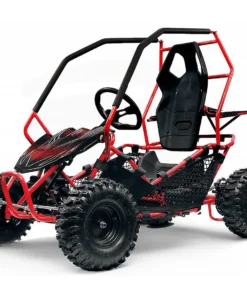 GoKid Crosser 1000W 36V Go Kart Kids Electric Mini Buggy Off Road